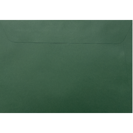 C5 - 162 x 229mm Sirio Foglia 115gsm