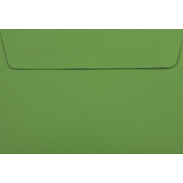 C6 - 114 x 162mm POPticks Parrot 120gsm Envelopes