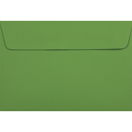 Card Envelope - 130 x 184mm POPticks Parrot 120gsm **TO BE DISCONTINUED**