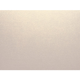 Curious Metallic Nude