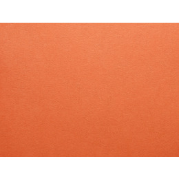 Kaskad Fantail Orange