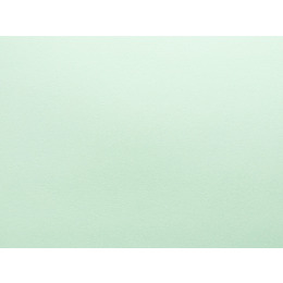 Kaskad Leafbird Green